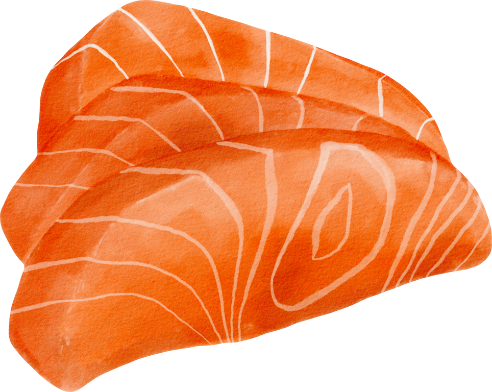 salmon sashimi  watercolor