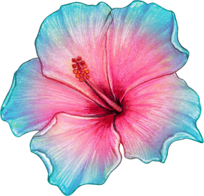 Watercolor Realistic Colorful Hibiscus Flower