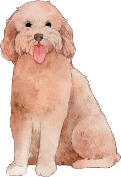 Watercolor Painting of a Goldendoodle Dog